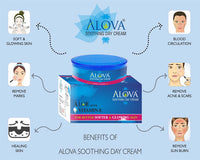 Alova Skin Experts Aloe Vera Cream 100 gm